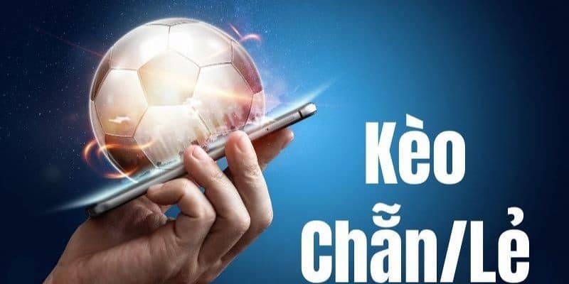 Bet thủ có thể gia tăng cơ hội chiến thắng với nhiều mẹo khác nhau
