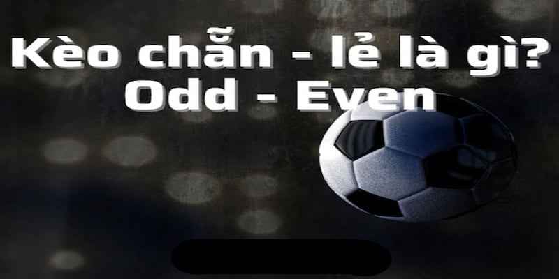 Loại cược này có cách tính tiền rất dễ hiểu