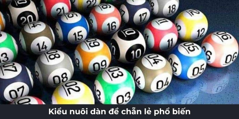 Kiểu nuôi dàn đề chẵn lẻ phổ biến