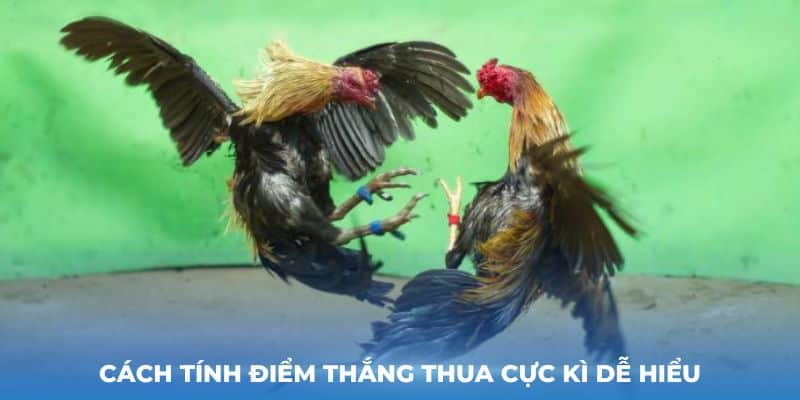 Cách tính điểm thắng thua cực kì dễ hiểu